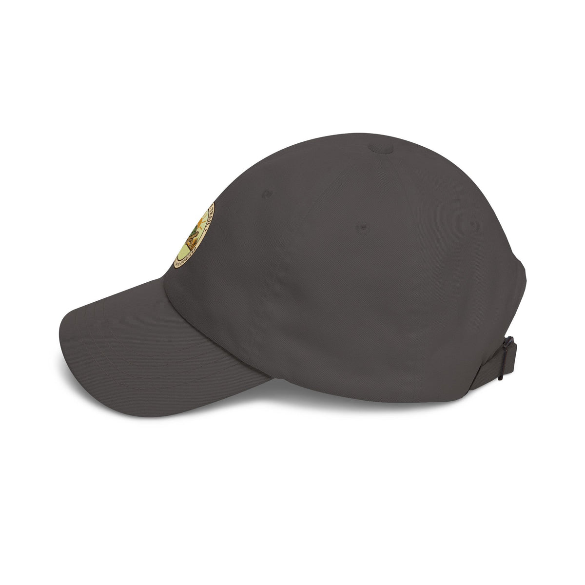 Tortoise Trail Dad Cap – Desert Tortoise Outdoor Baseball Hat