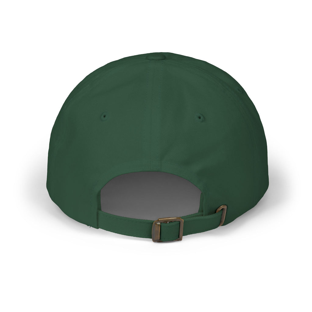 Tortoise Trail Dad Cap – Desert Tortoise Outdoor Baseball Hat