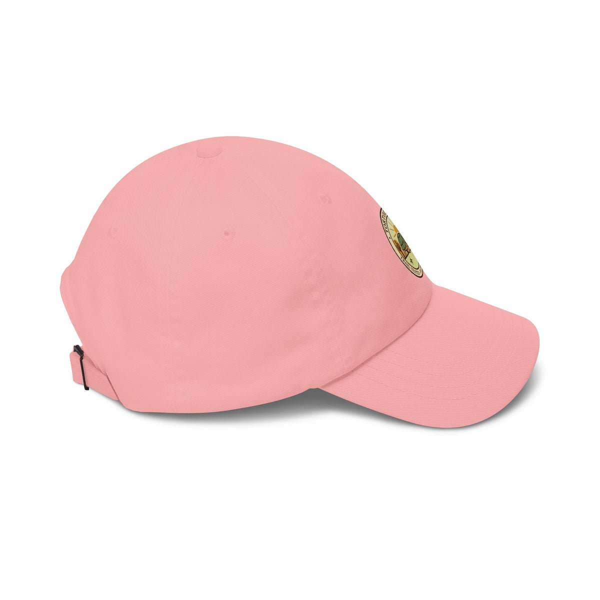 Tortoise Trail Dad Cap – Desert Tortoise Outdoor Baseball Hat